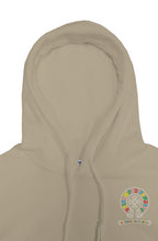 (NEWEST) The Hollywood Vampire Pullover Hoodie (RAINBOW LOGO)